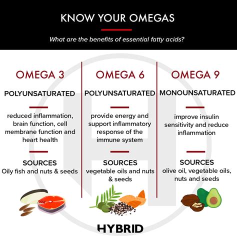 sources of omega 6|is omega 6 good or bad.